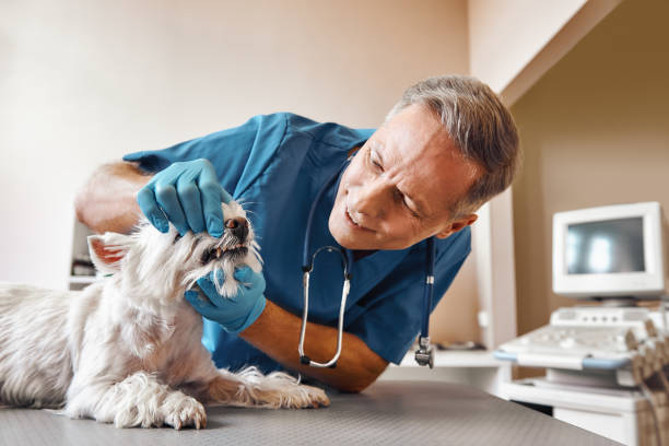 Best Weekend Emergency Dentist in Dawson, TX